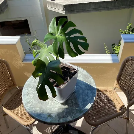 Apartment Rama *